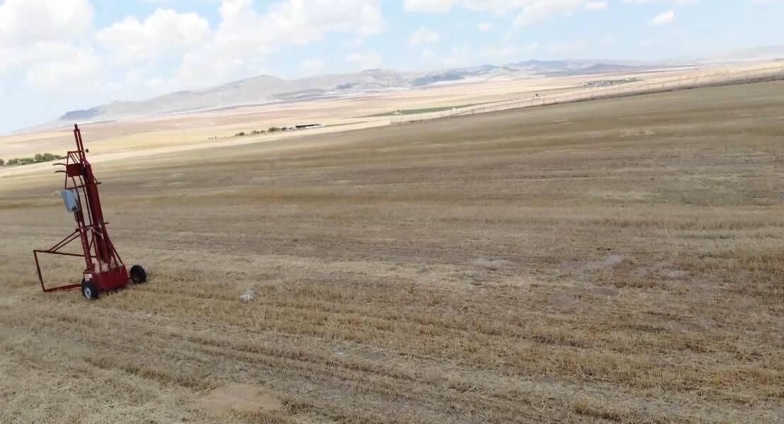 Tarlalarda fare paniği: İlaçlar yetersiz kalıyor