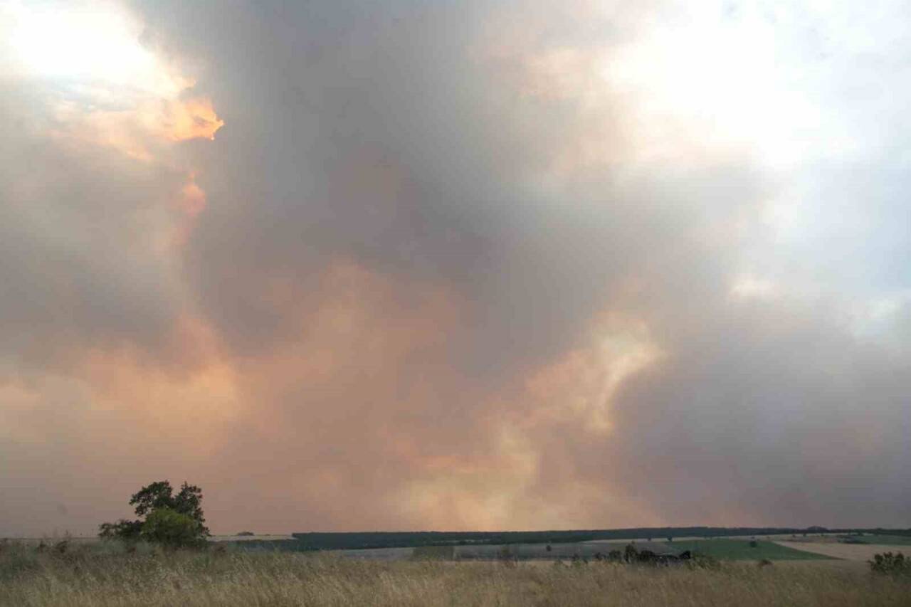 Bulgaristan’daki yangın Edirne sınırına ilerliyor