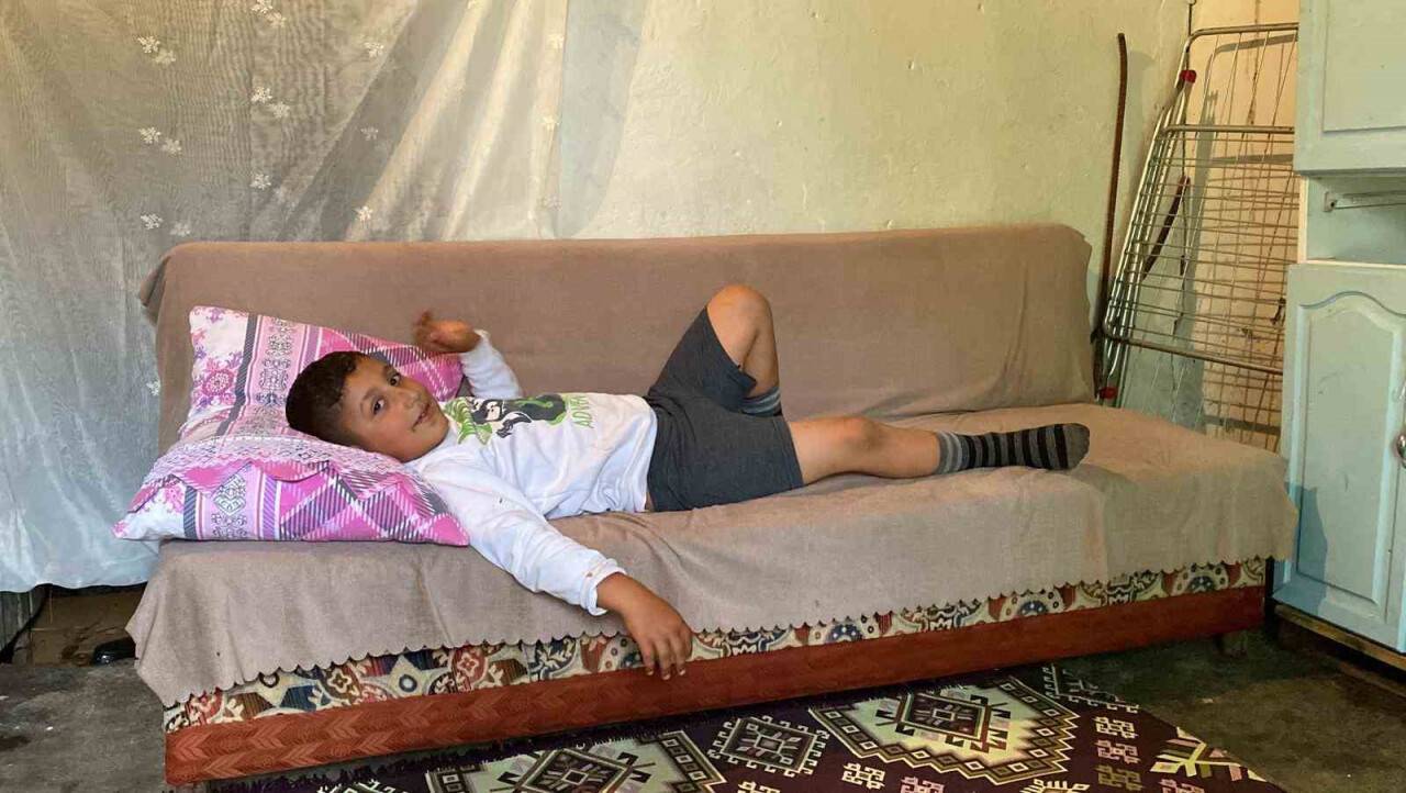 Başıboş köpek dehşeti: 8 yaşındaki çocuk yaralandı