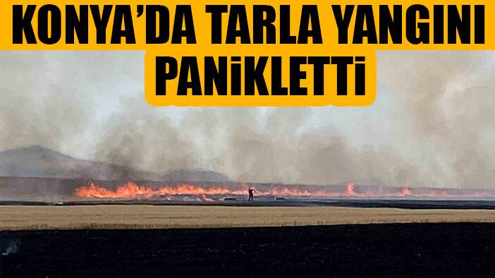 Tarlada çıkan yangında 600 saman balyası kül oldu