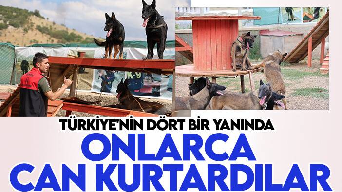 Konyalı Köpek Eğitmeni'nin köpekleri onlarca hayat kurtardı
