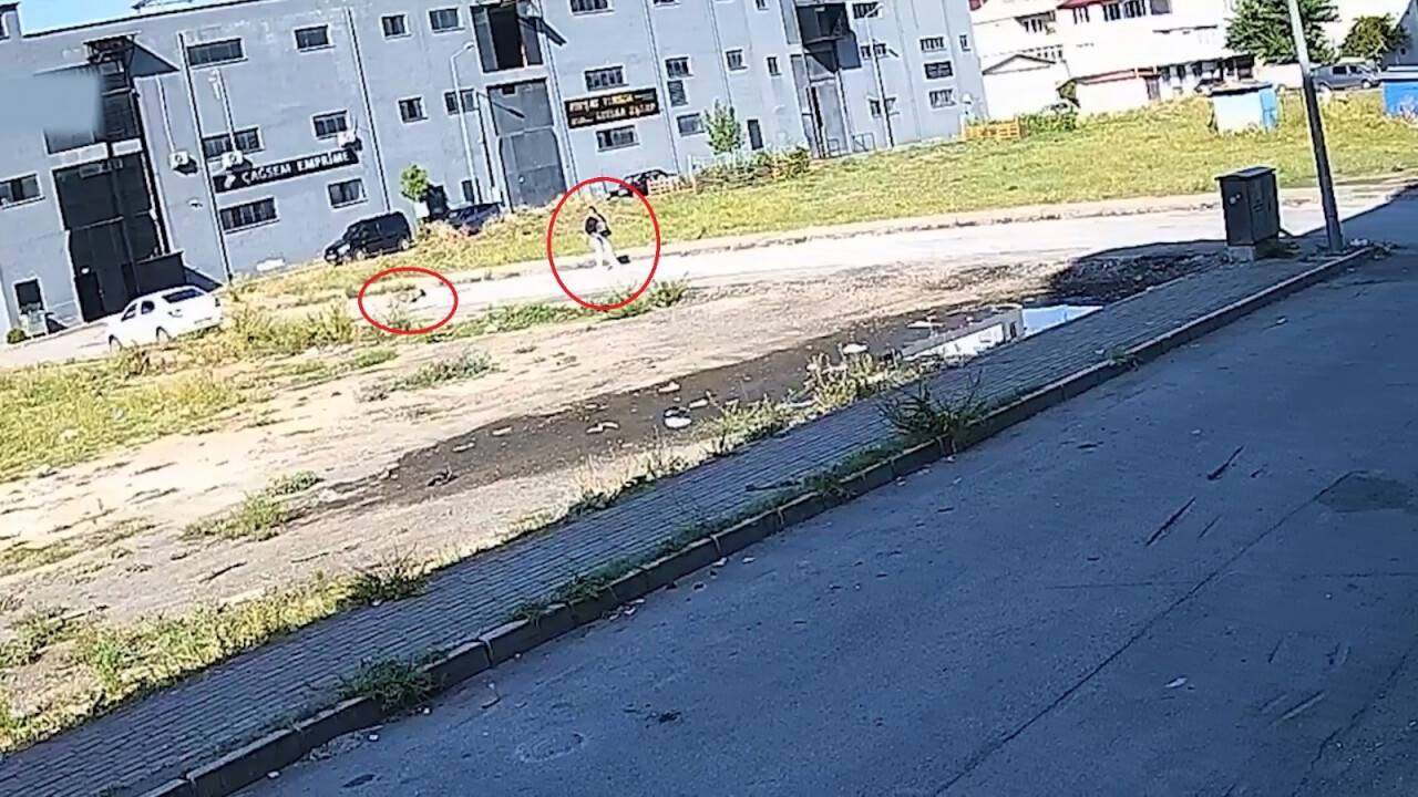 Sokak köpeğinin saldırısına uğrayan kadını kurtardı...  işte o anlar kamerada