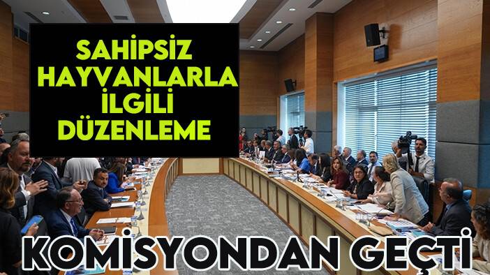 Sahipsiz hayvanlarla ilgili düzenleme komisyondan geçti