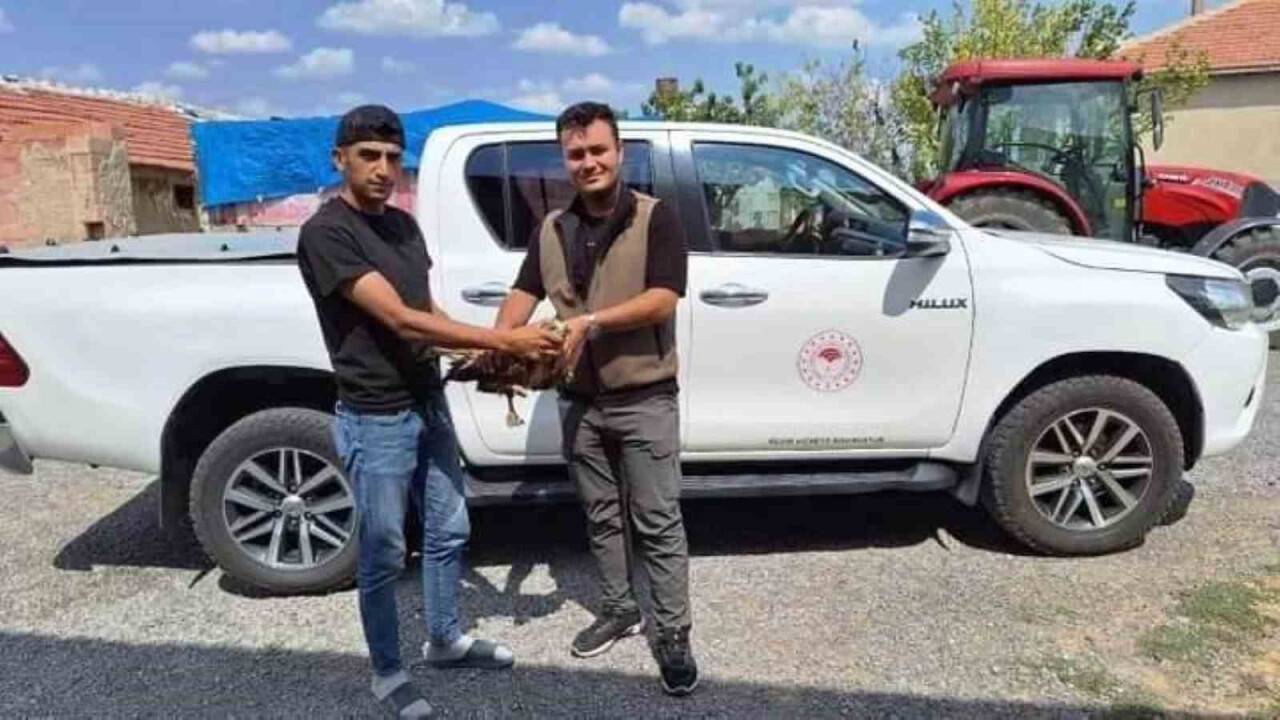 Konya'da arazide buldu, doğa koruma ekiplerine teslim etti