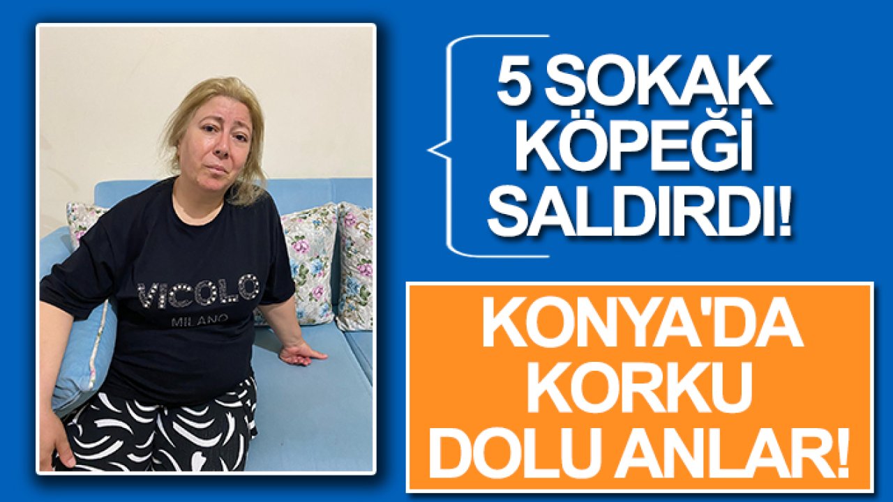 Konya'da korku dolu anlar! 53 yaşındaki kadına sokak köpekleri saldırdı