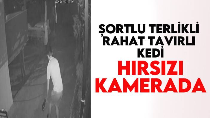 Şortlu terlikli rahat tavırlı kedi hırsızı kamerada