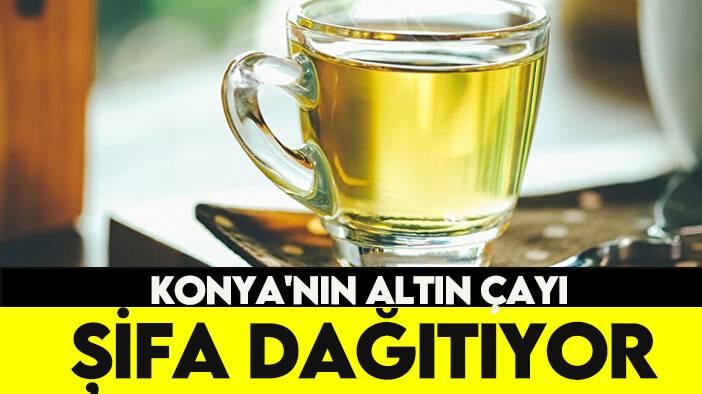 Konya'nın altın çayı şifa dağıtıyor