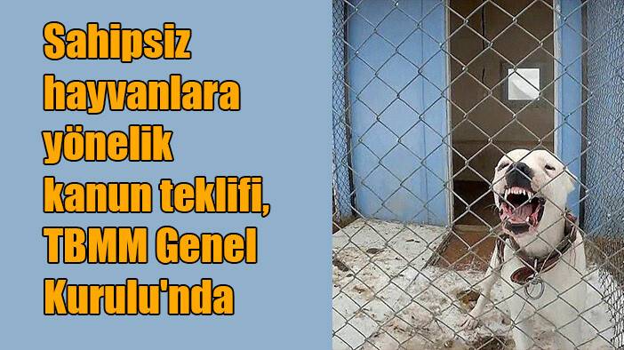 Sahipsiz hayvanlara yönelik kanun teklifi, TBMM Genel Kurulu'nda