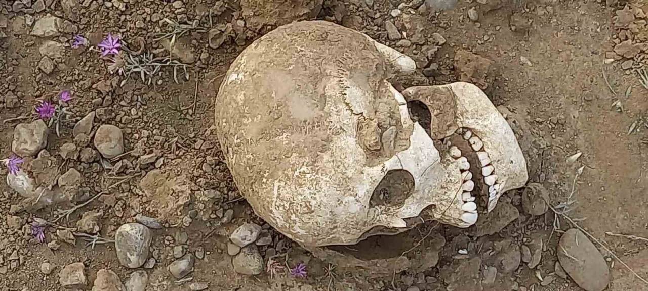 2 asırlık insan kafatası ve kemik parçaları bulundu