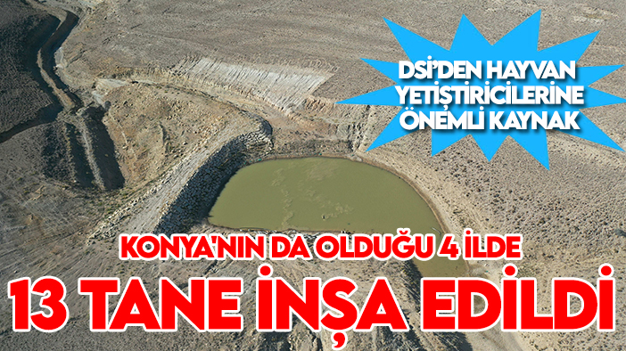 DSİ'den hayvan yetiştiricilerine önemli kaynak! Konya'nın da olduğu 4 ilde 13 tane inşa edildi