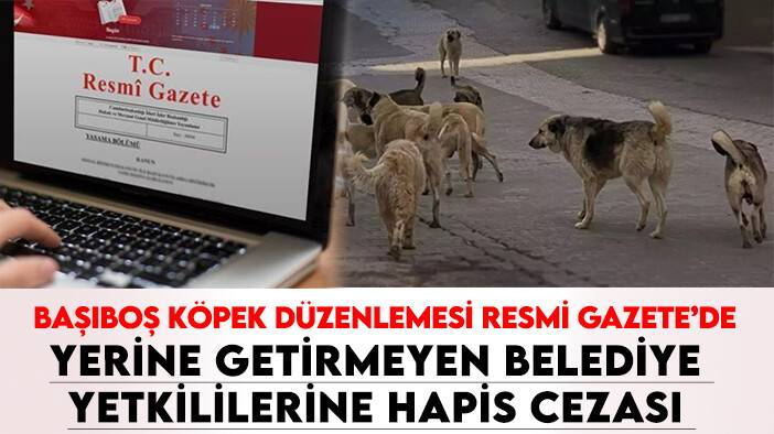 Sokak hayvanlarına ilişkin yasa Resmi Gazete'de: Yerine getirmeyen belediye yetkililerine hapis cezası