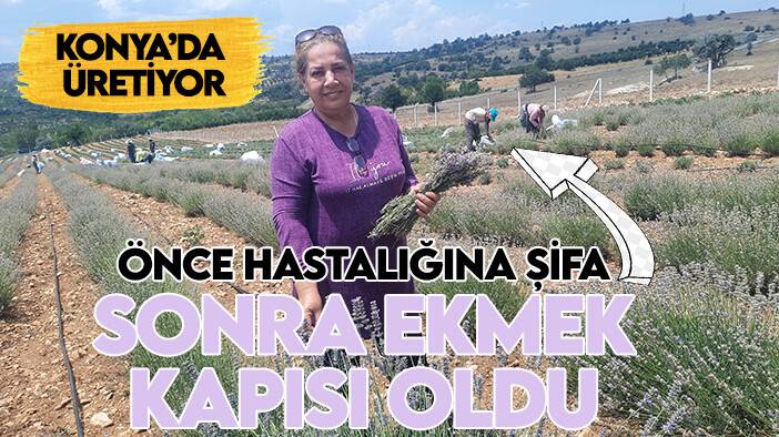 Önce hastalığına şifa sonra ekmek kapısı oldu