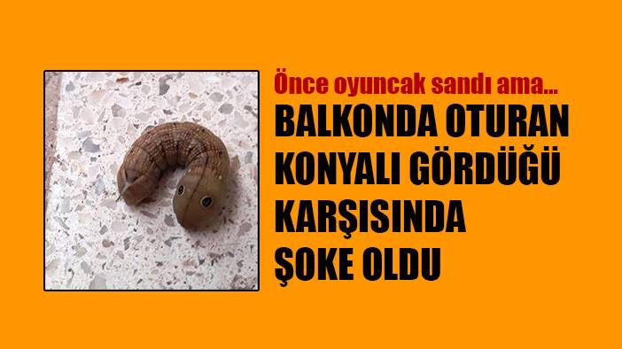 Balkonda oturan Konyalı gördüğünü araştırınca şoke oldu
