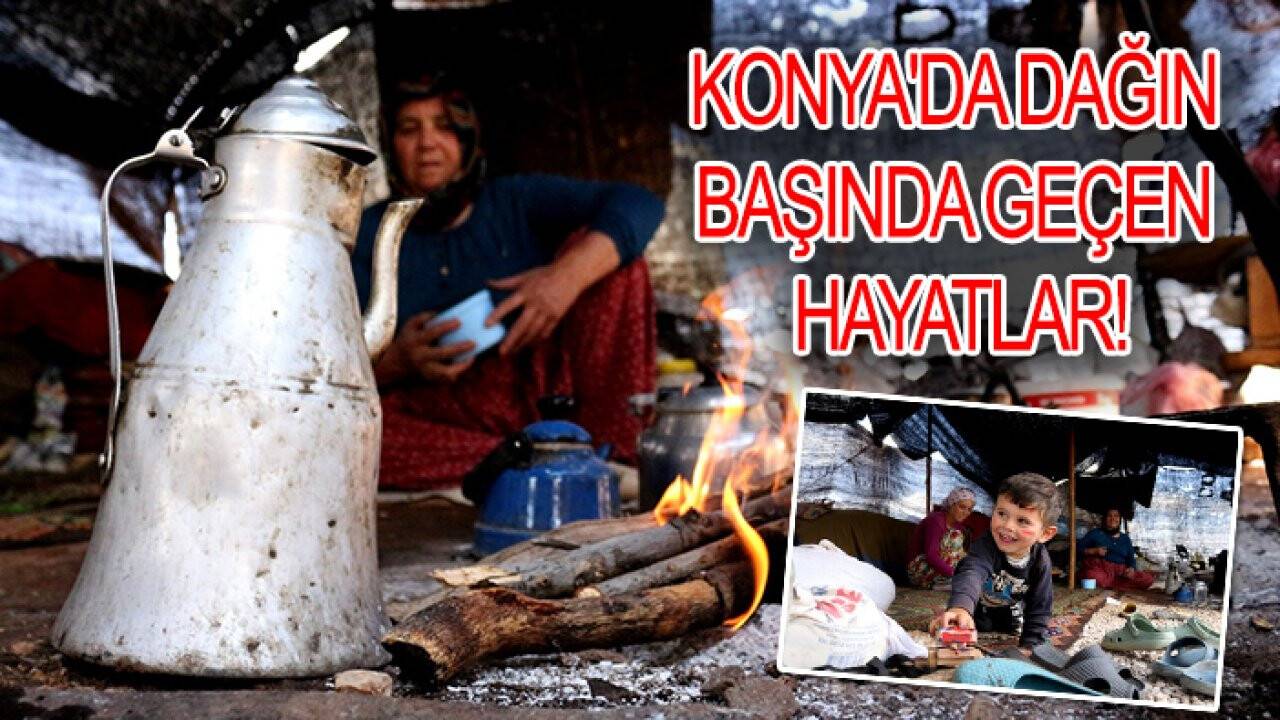 Konya'da dağın başında geçen hayatlar!