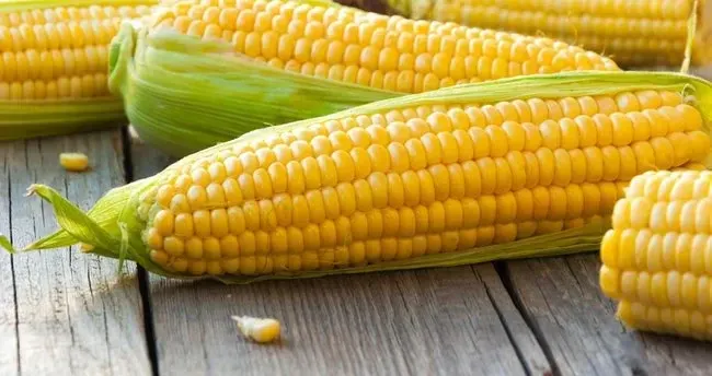 Lif kaynağı mısırın faydaları neler?