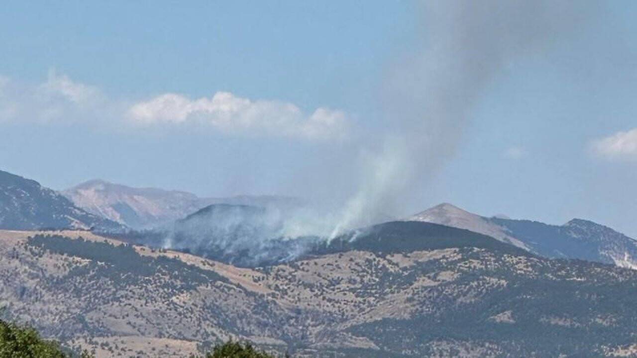 Tunceli'de orman yangını
