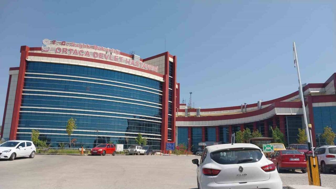 Küçük çocuğa pitbull saldırısı: Yakınları köpeğin ağzından zorlukla kurtardı