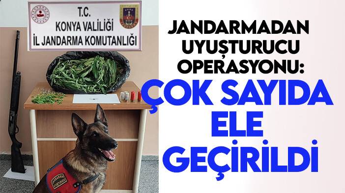 Konya’da jandarmadan uyuşturucu operasyonu: Çok sayıda ele geçirildi