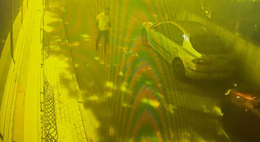 Özgürlüğü bir gün sürdü, yine cezaevine girdi