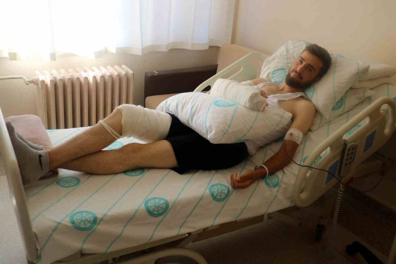 Su içeceği sırada yılan soktu, o da dünyanın en zehirli yılanlarından biri çıktı