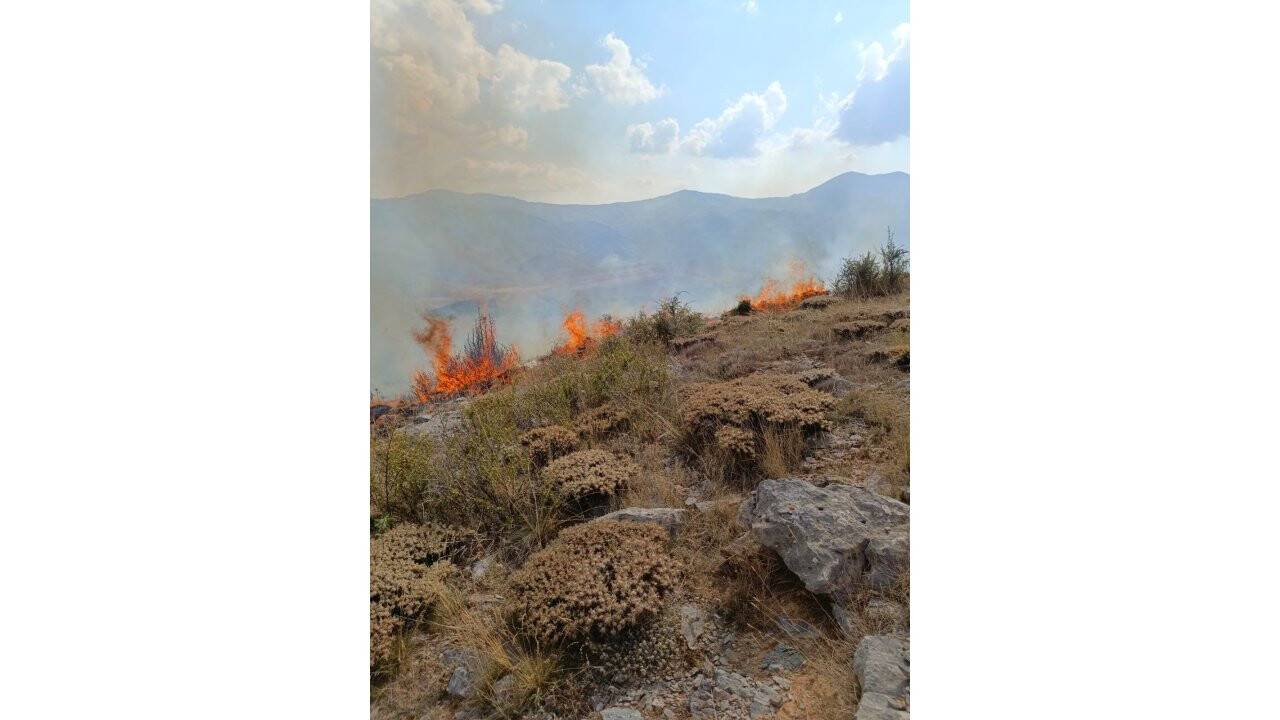 Konya’da yaylada örtü yangını