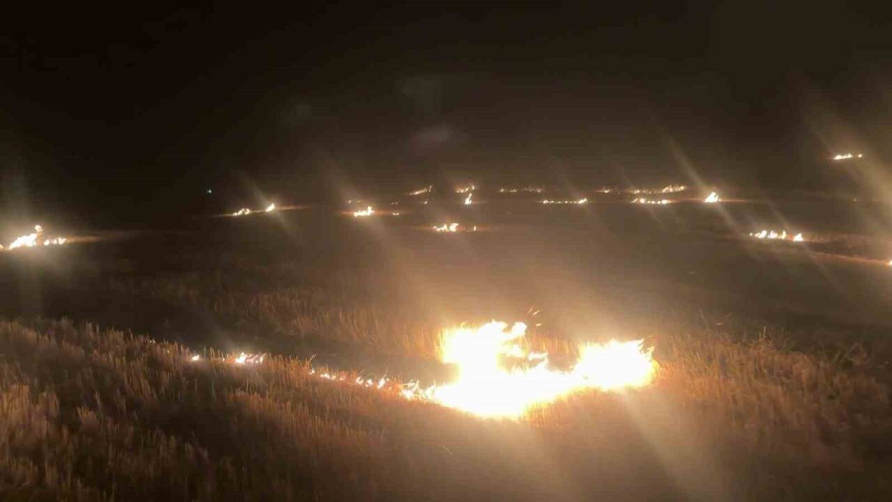 Sivas’ta küreğini alan yangına koştu