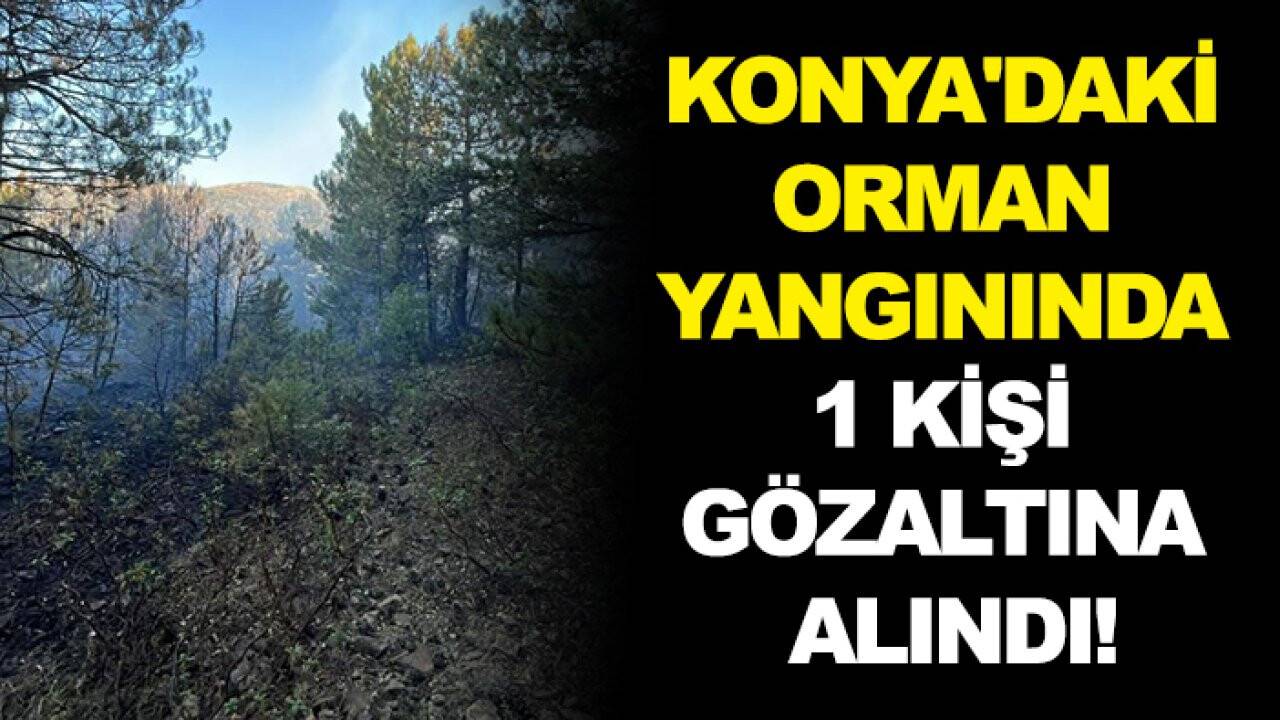 Konya'daki orman yangınında 1 kişi gözaltına alındı
