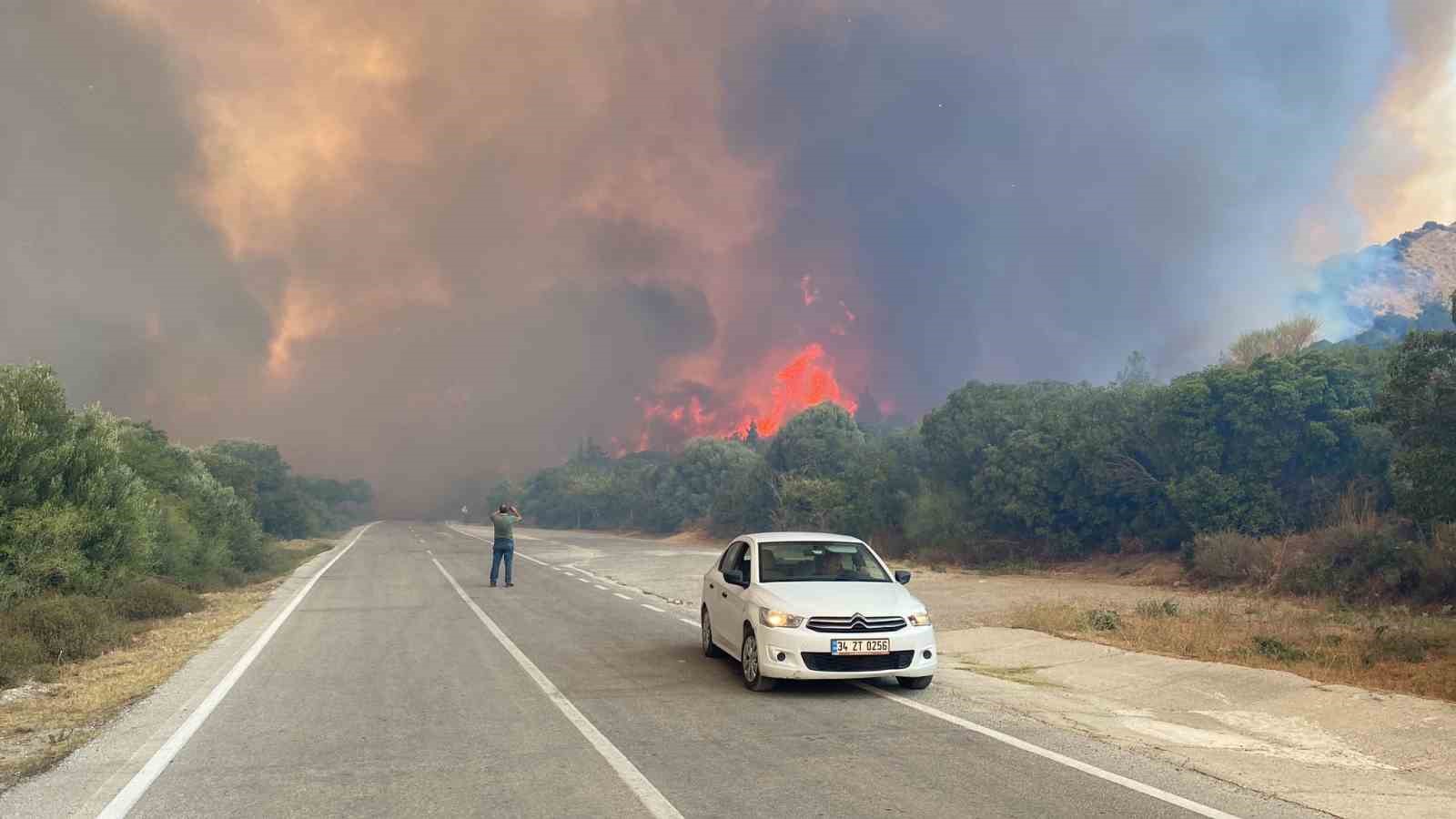 Çanakkale'de orman yangını büyüyor