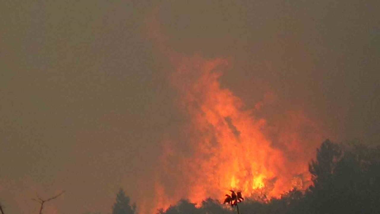 Bolu’da çıkan yangın söndürülemiyor