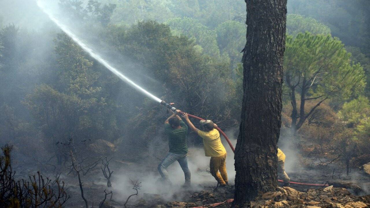 Aydın'daki orman yangınından son görüntüler
