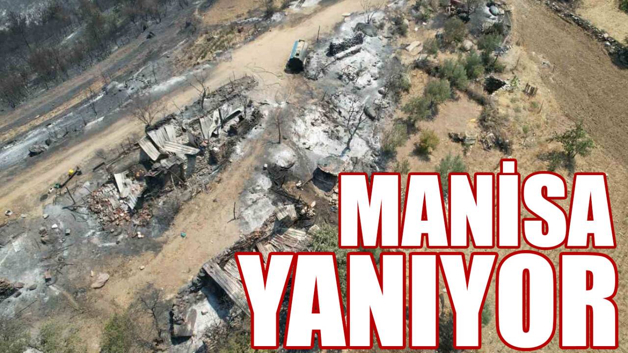 Manisa’daki orman yangınında bu tablo görenleri 'ahh' dedirtti