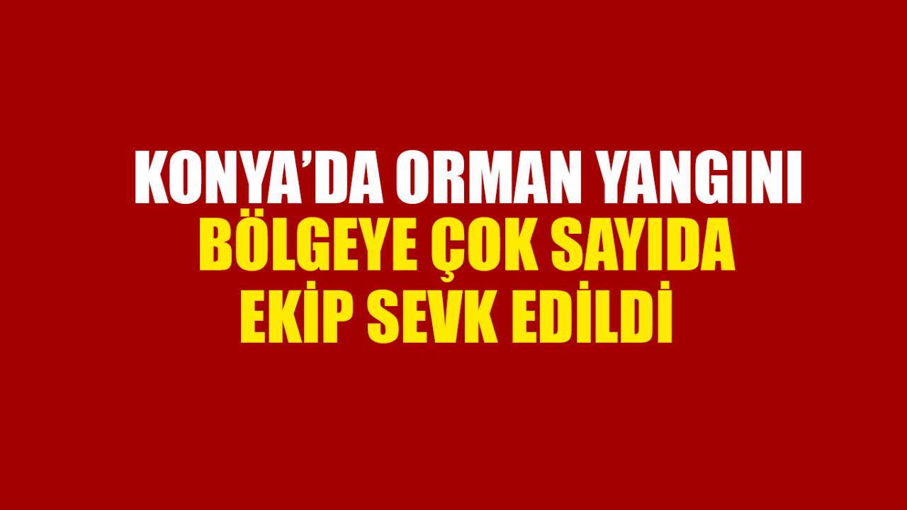 Konya'da çıkan orman yangını söndürüldü
