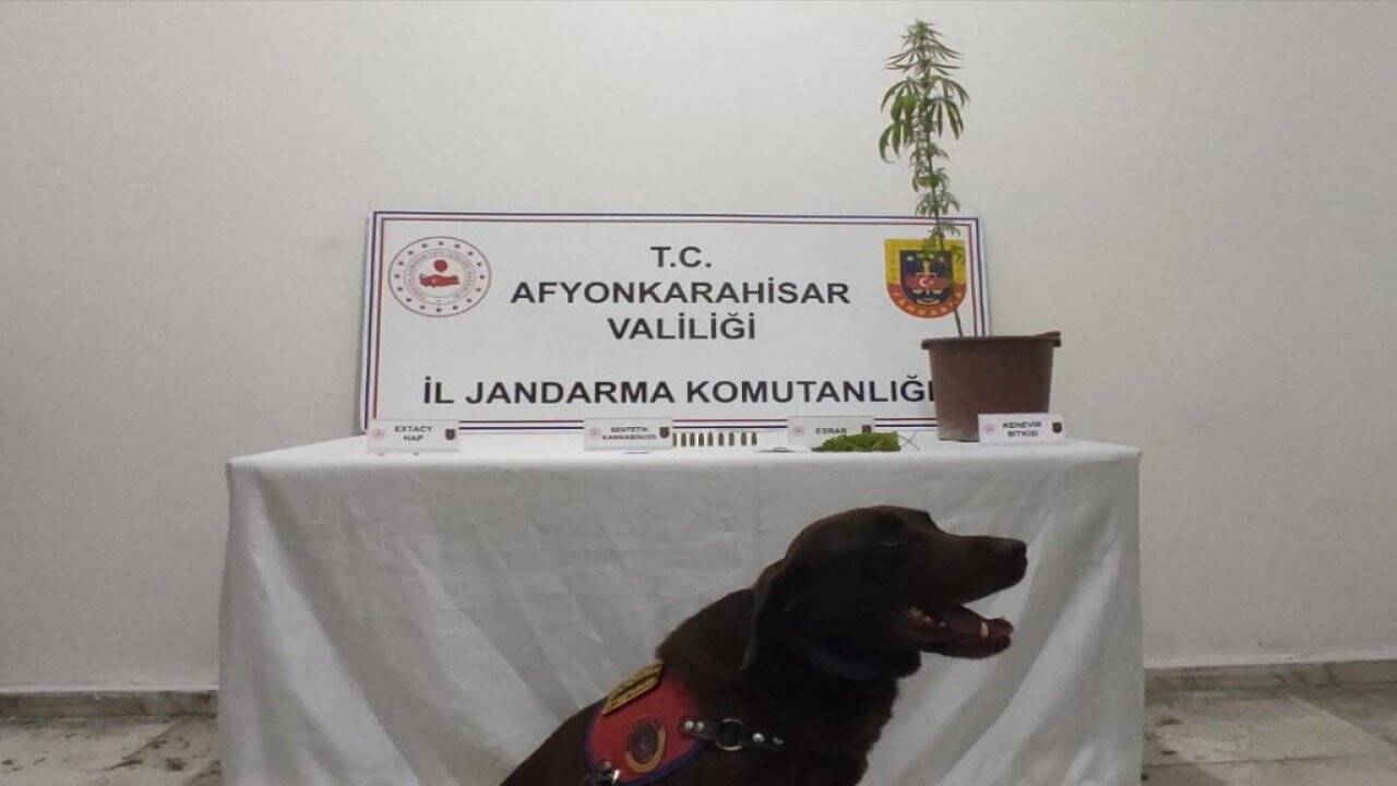 Jandarma'dan uyuşturucu operasyonu: 2 gözaltı