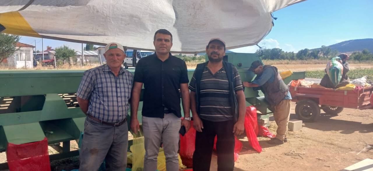 Konya'da kornişon hasadı çiftçinin yüzünü güldürdü