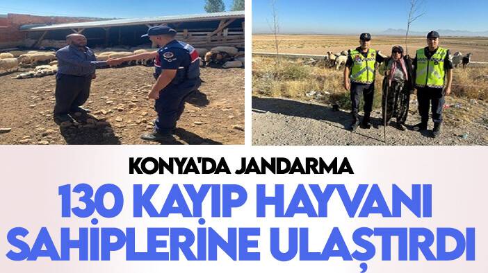 Konya’daki 130 kayıp küçükbaş hayvanı jandarma buldu
