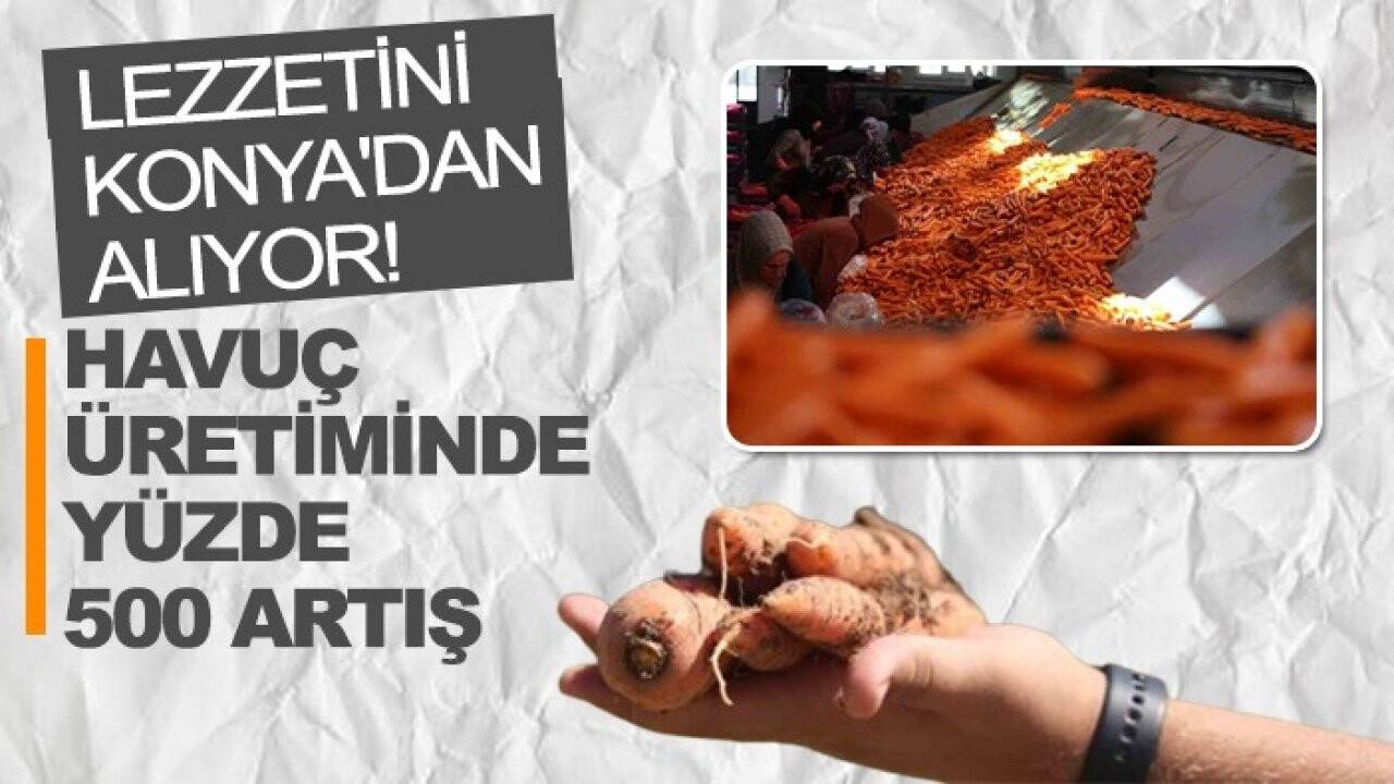 Lezzetini Konya'dan alıyor! Havuç üretiminde yüzde 500 artış