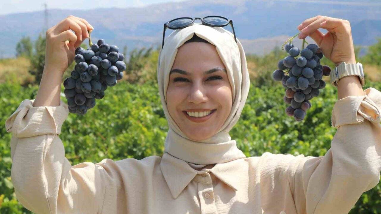 Dünyaca meşhur İtalya’nın üzümüne Türkiye'den rakip çıktı