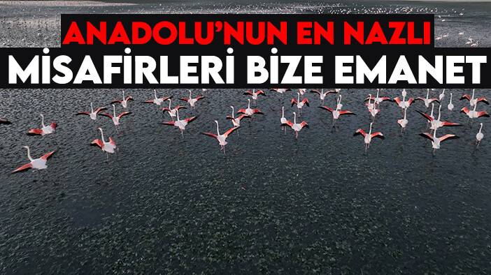 Bakan Kurum: Anadolu’nun en nazlı misafirleri bize emanet