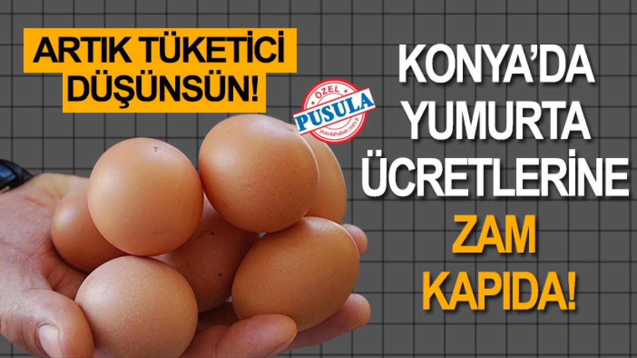 Konya’da yumurta ücretlerine zam kapıda!