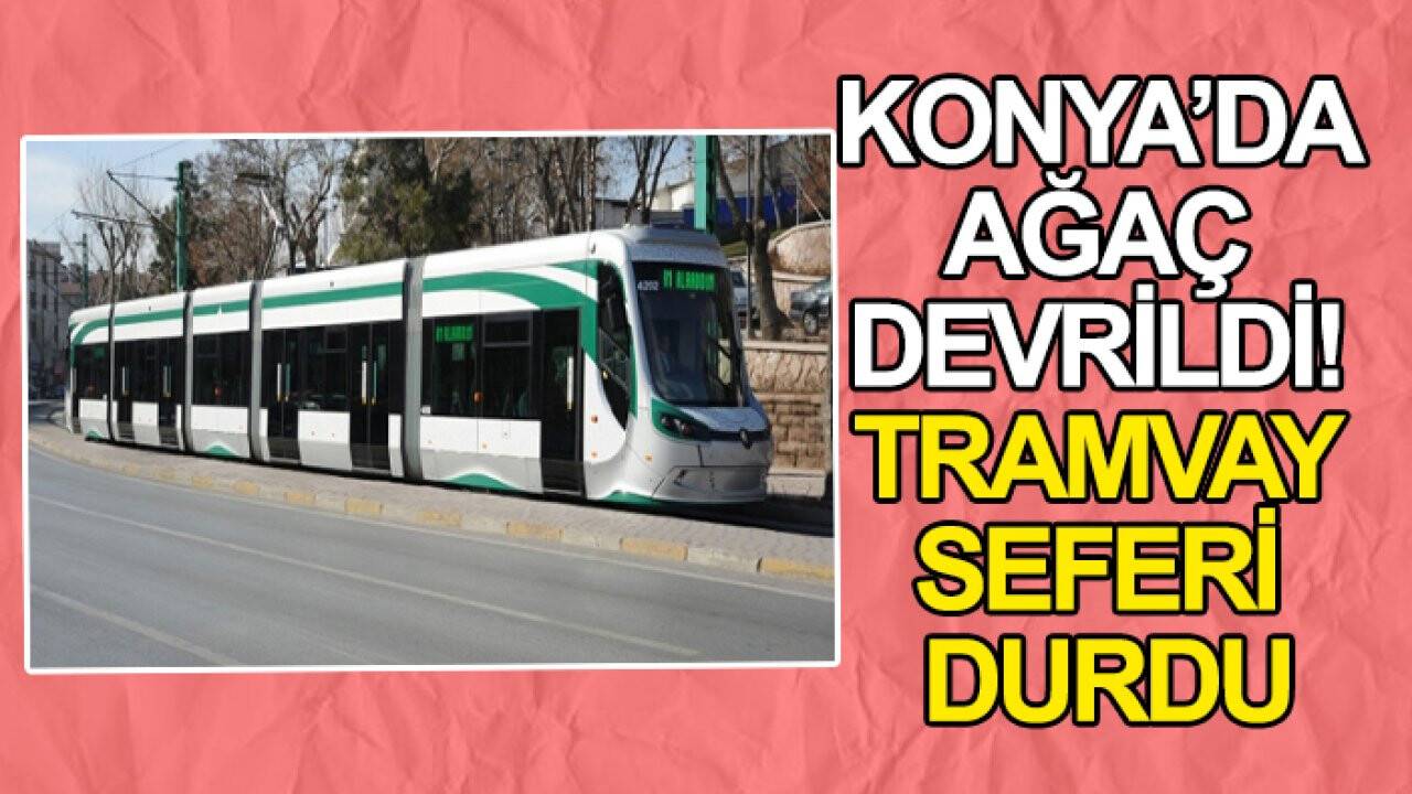 Konya'da elektrik tellerine ağaç devrildi! Tramvay seferi durdu