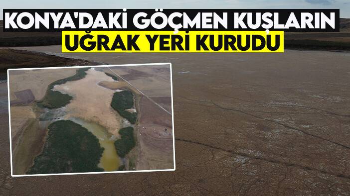Konya'daki göçmen kuşların uğrak yeri Uyuz Gölü kurudu