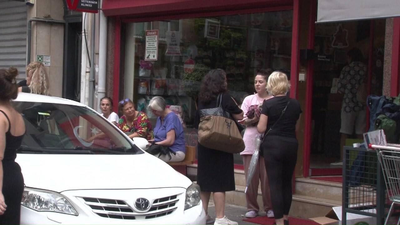 Köpek ve kedileri zehirlediler