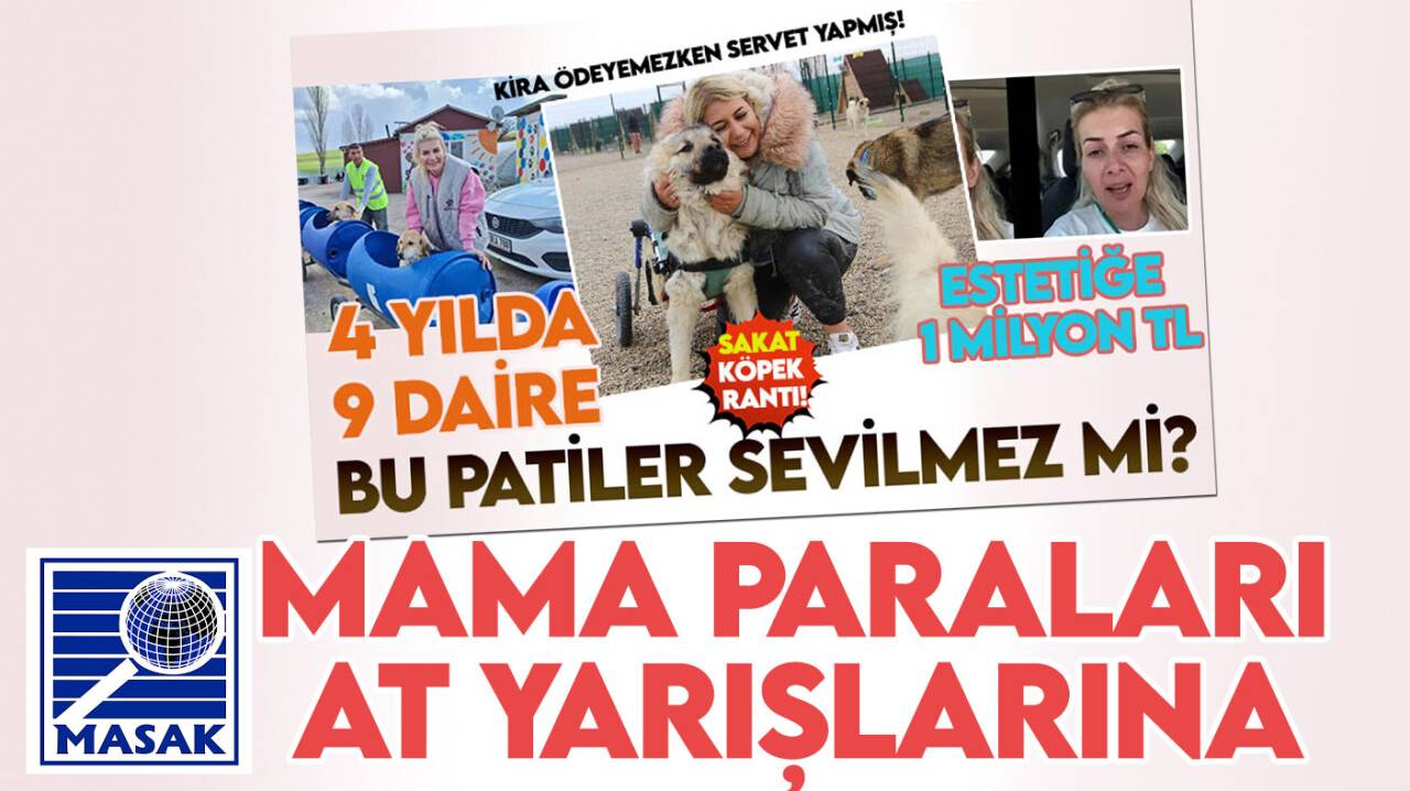 Kirayasını ödeyemezken servet yapan 'Patiler Derneği Başkanı' mama bağışlarıyla at yarışı da oynamış!