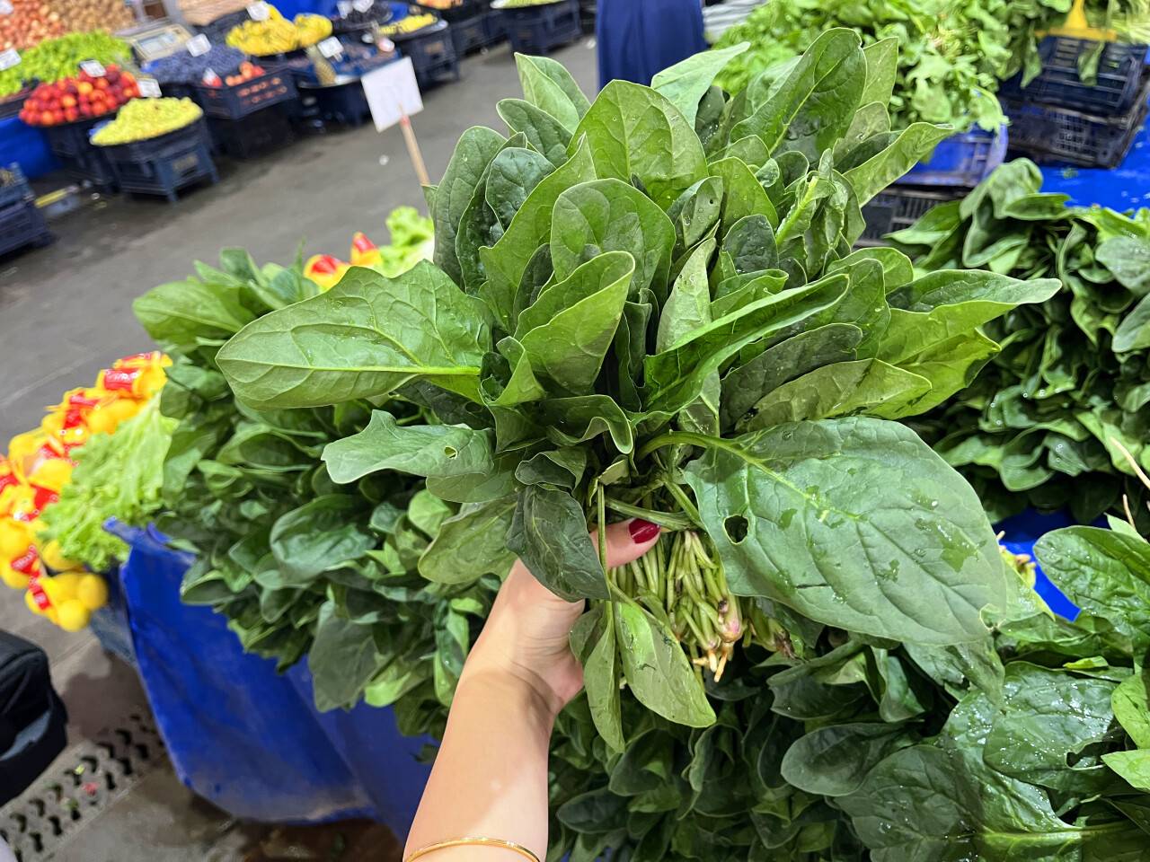 Bu iki otu karıştıran soluğu hastanede alıyor