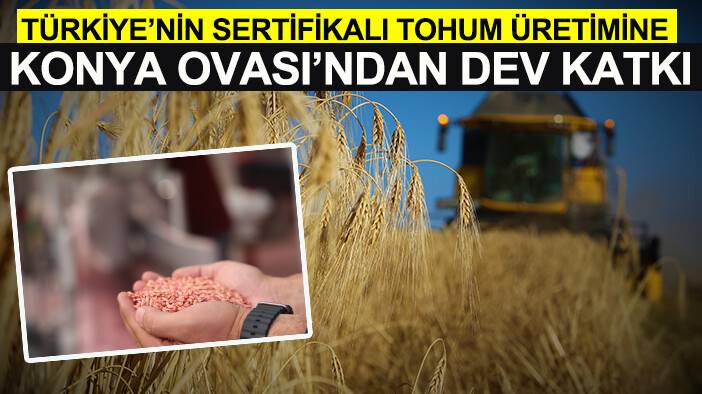 Türkiye’nin sertifikalı tohum üretimine Konya Ovası’ndan dev katkı