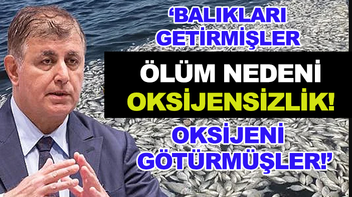 CHP'li İzmir BB Başkanı Tugay'ın gemilerle getirildiğini söylediği balıklar oksijensizlikten ölmüş!