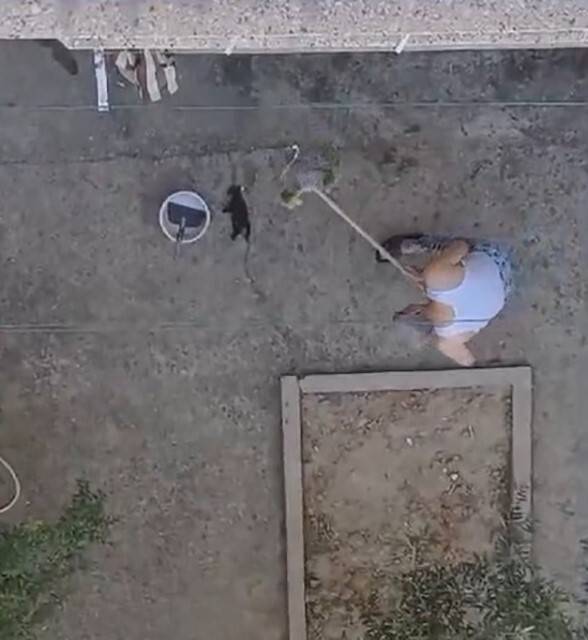 Yavru kedileri süpürge sapıyla öldürmüştü, karar çıktı
