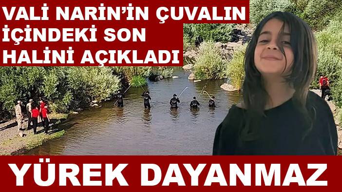 Diyarbakır Valisi Narin'in çuvaldaki yürek burkan halini açıkladı