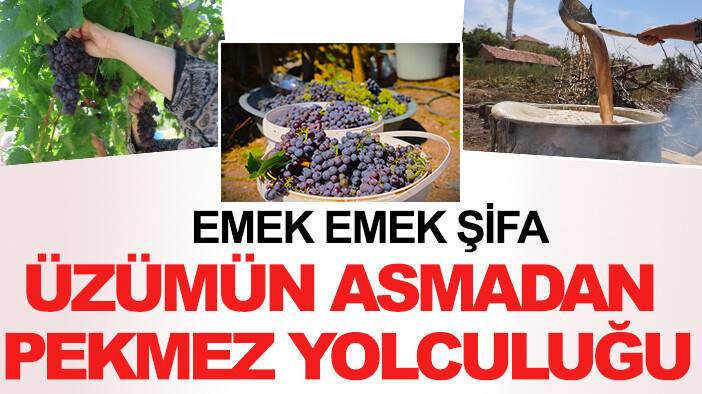 Emek emek şifa: Üzümün asmadan pekmez yolculuğu