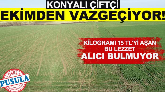 Konyalı çiftçi ekimden vazgeçiyor!